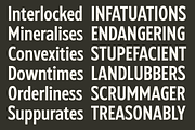 Iron Crates - A Sans Font Collection, a Sans Serif Font by Martype (Thumbnail 3 of 12)