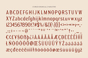 CS Brizo Drawn, a Serif Font by Craft Supply Co. (Thumbnail 8 of 8)