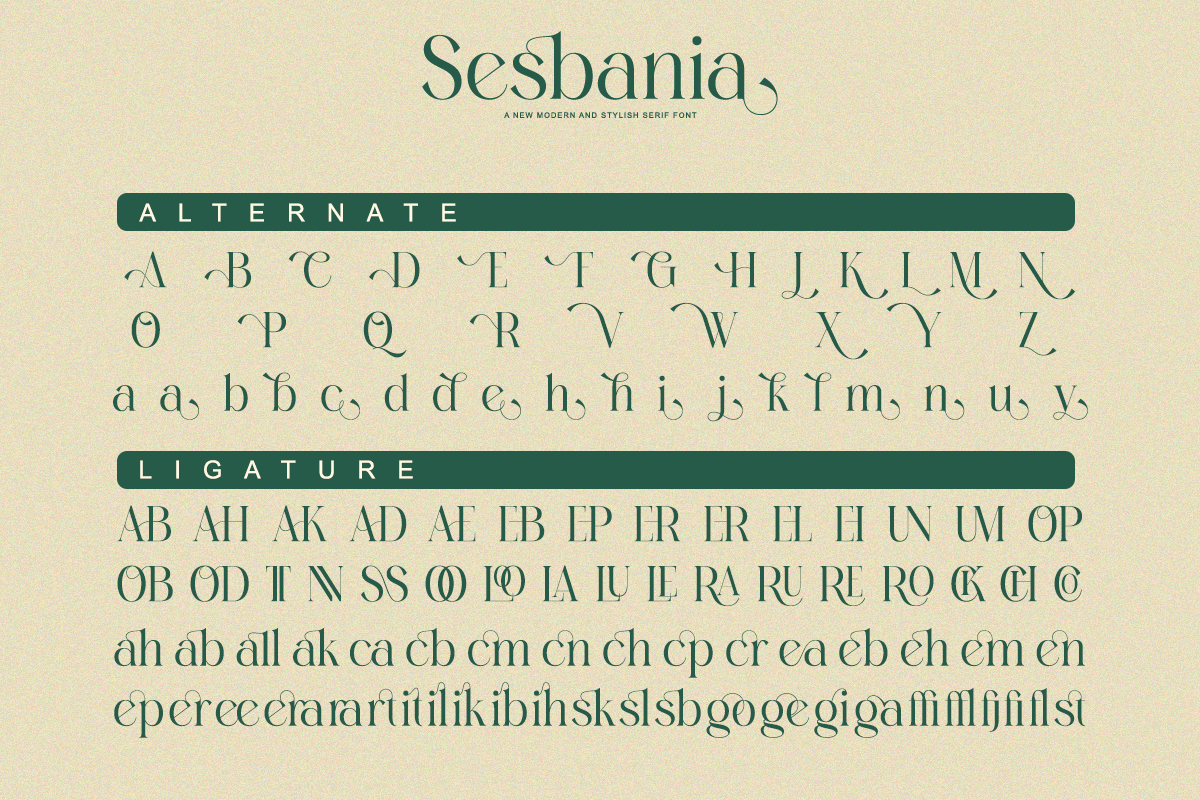 Sesbania - Modern Minimal Branding, a Serif Font by Qweera Studio (Photo 11 of 12)
