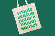 Tropic Fresh Bold Vintage Serif, a Serif Font by timelesstype.co (Thumbnail 11 of 20)