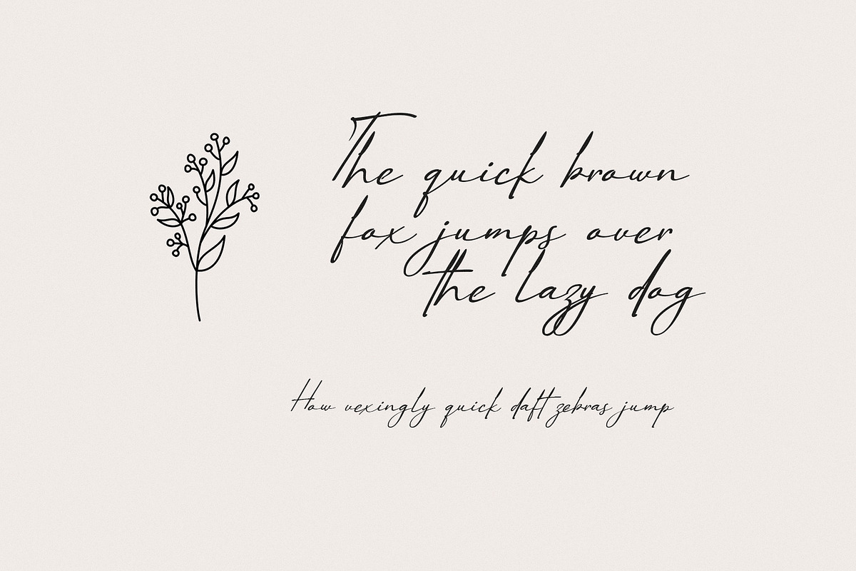 Paris Hamilton Handwritten Font, a Handwritten Font by Elegant Font (Photo 10 of 12)