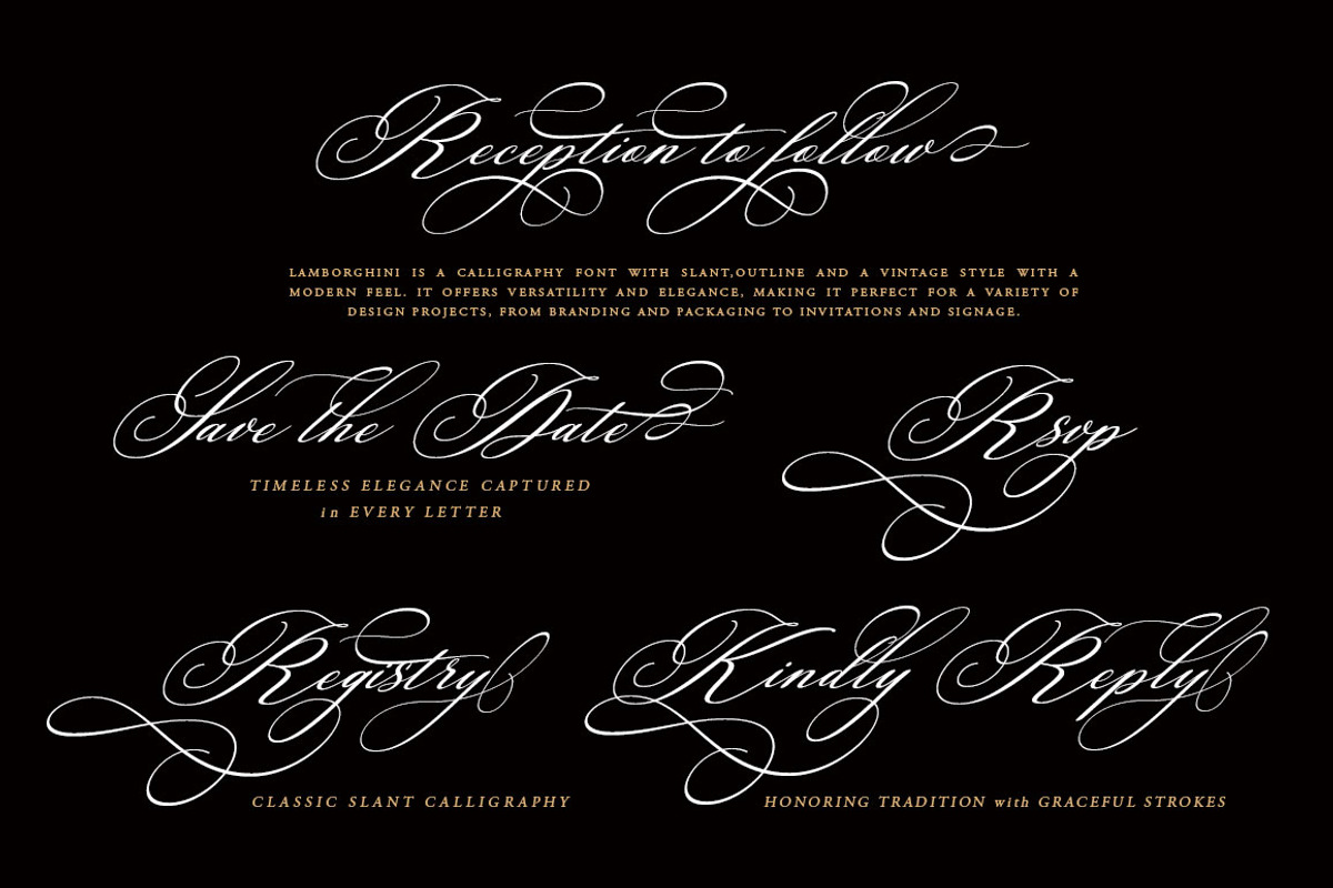 Lamborghini Script, a Script Font by Has_rizal (Photo 3 of 13)