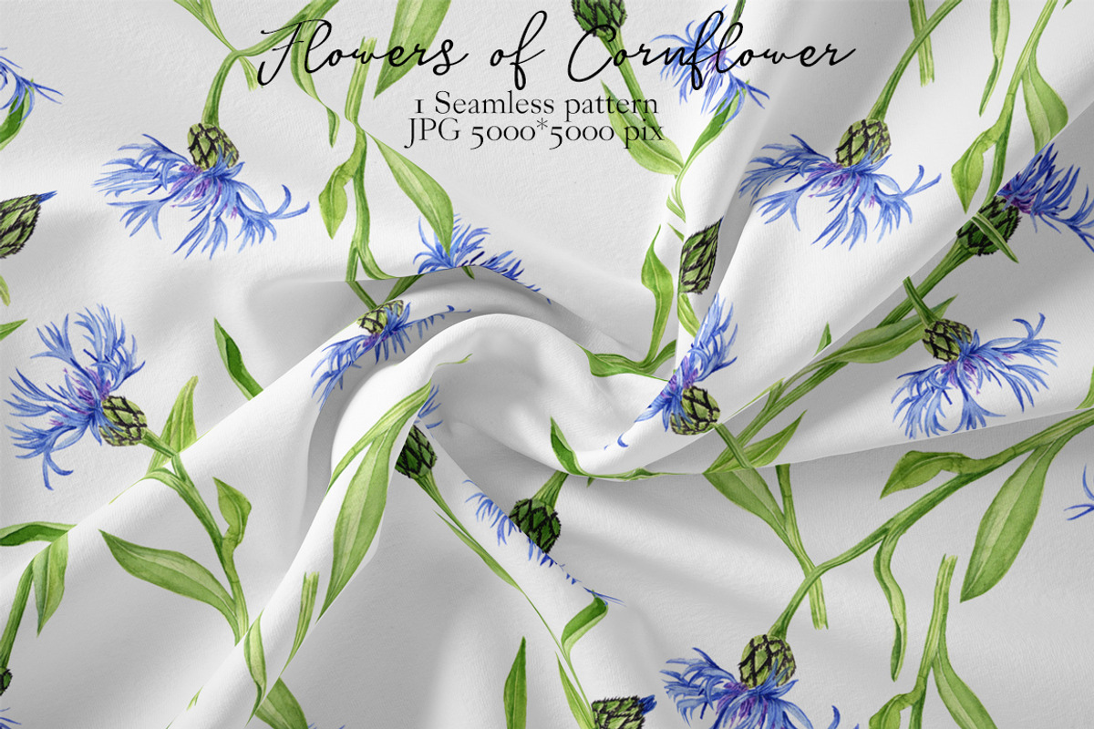Flowers of Cornflower, a Decorative Illustration by cat_arch_angel (Photo 7 of 7)