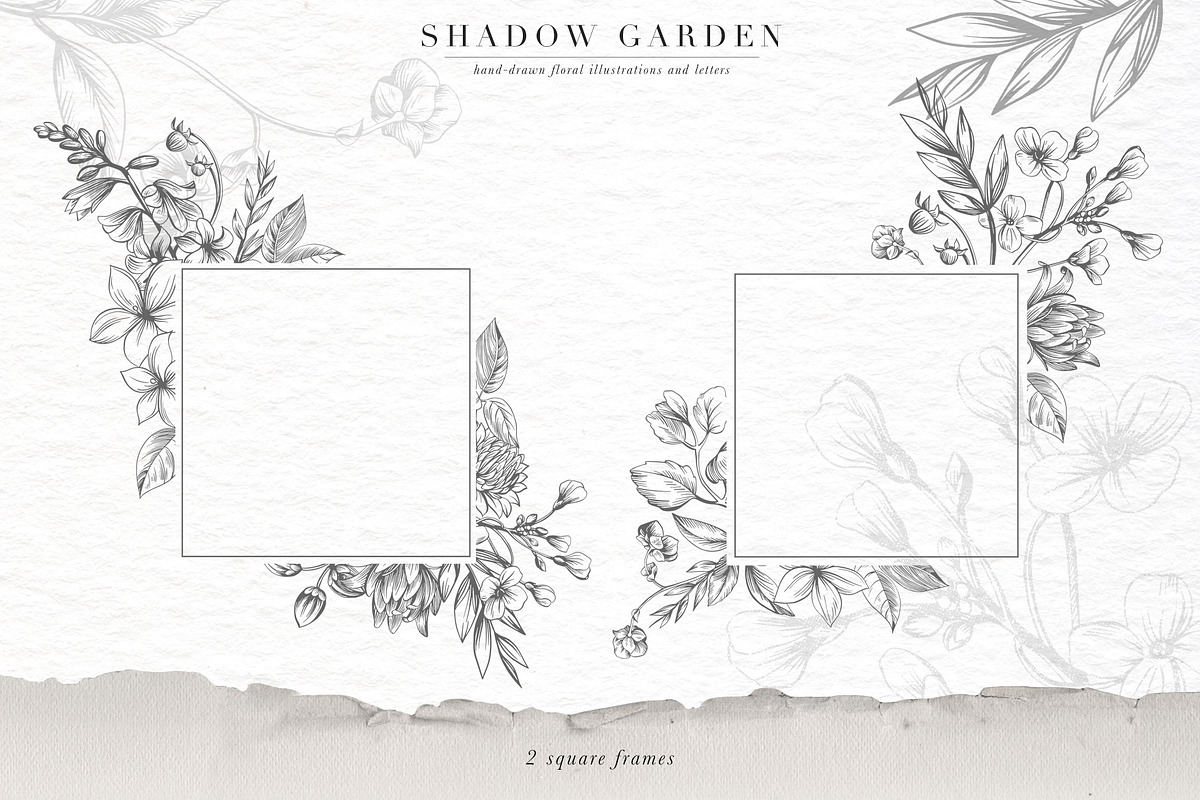 Shadow Garden Botanical Monograms, an Illustration by Eclectic Anthology (Photo 8 of 15)