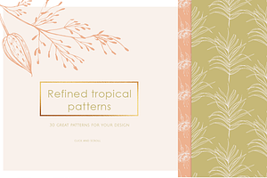 Tropical Illustrations & Patterns