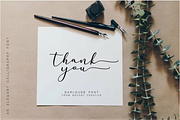 Darloune | An Elegant Calligraphy, a Script Font by WDfont (Thumbnail 5 of 5)