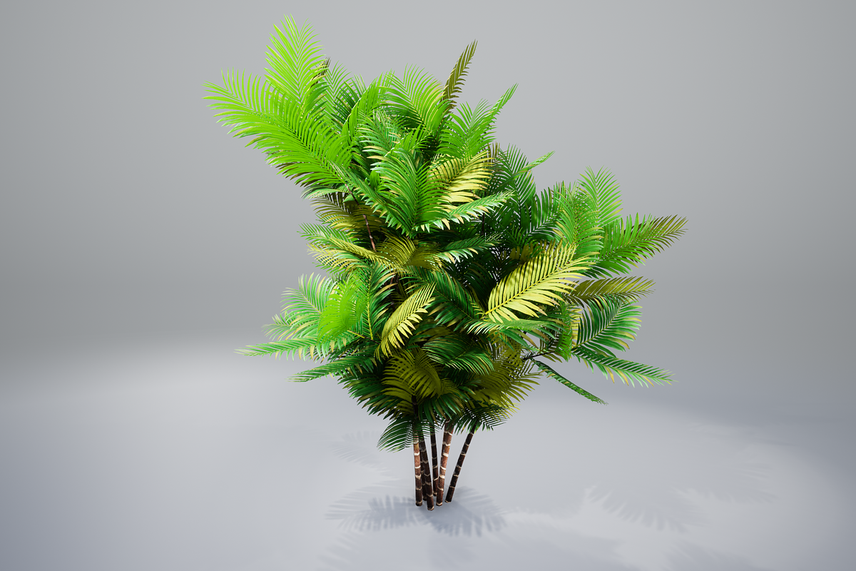 Pinanga coronata, an Environmental 3D Model by AndrewWhite (Photo 12 of 25)