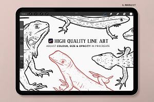 Lizard Procreate Brush Stamps