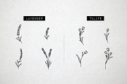 60 Flower and Floral Icons - Vol 2, an Outline Icon by Hatch Design Workshop (Thumbnail 5 of 10)