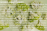 Clockwise sans serif font, a Sans Serif Font by Ana's Fonts (Thumbnail 8 of 12)