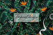 Tropical seamless patterns & leaves, a Pattern Graphic by EltaMaxArt (Thumbnail 10 of 15)