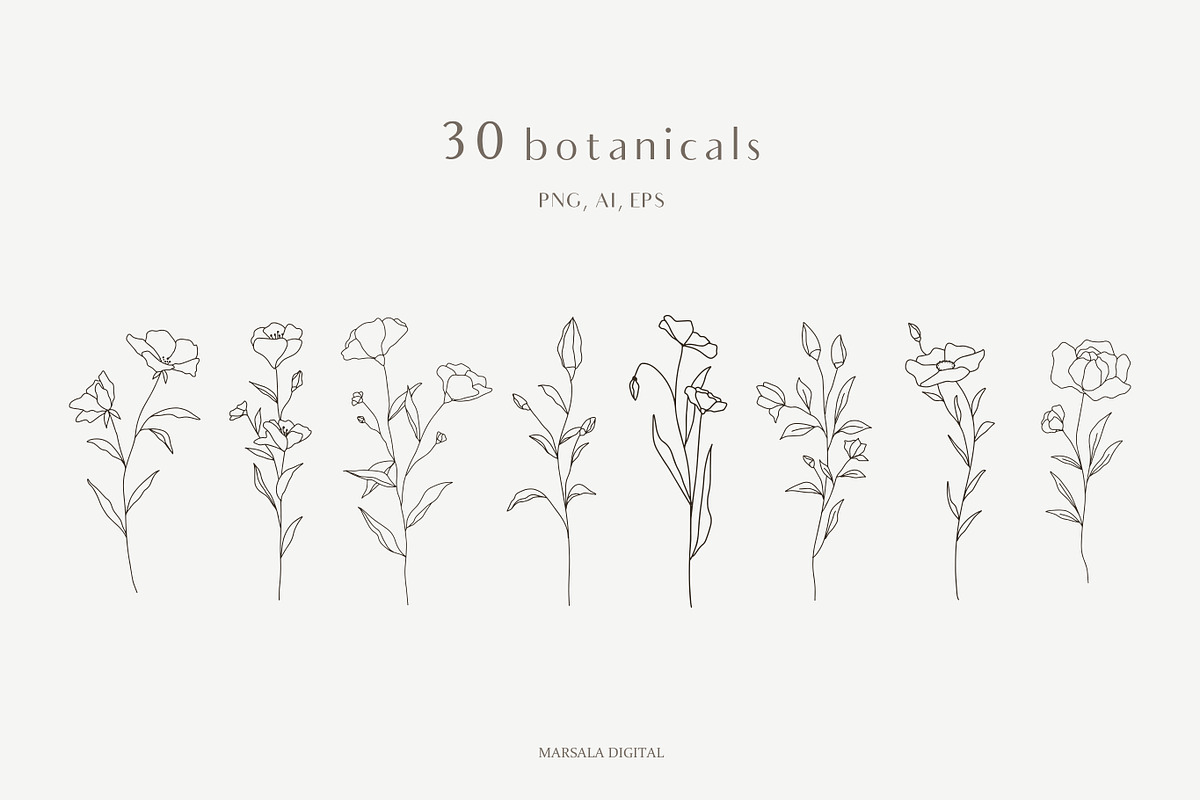 Botanical Line Art Illustrations V1, a Texture Illustration by Kaya Fonts (Photo 2 of 9)