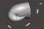 7 Shell Planter for 3D Printing, an Object 3D Model by Kseniya-Omega (Thumbnail 7 of 17)
