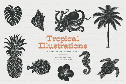 Vintage Tropical Illustrations