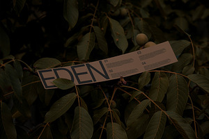 FORMAT EDEN PAPERSTRIP 01