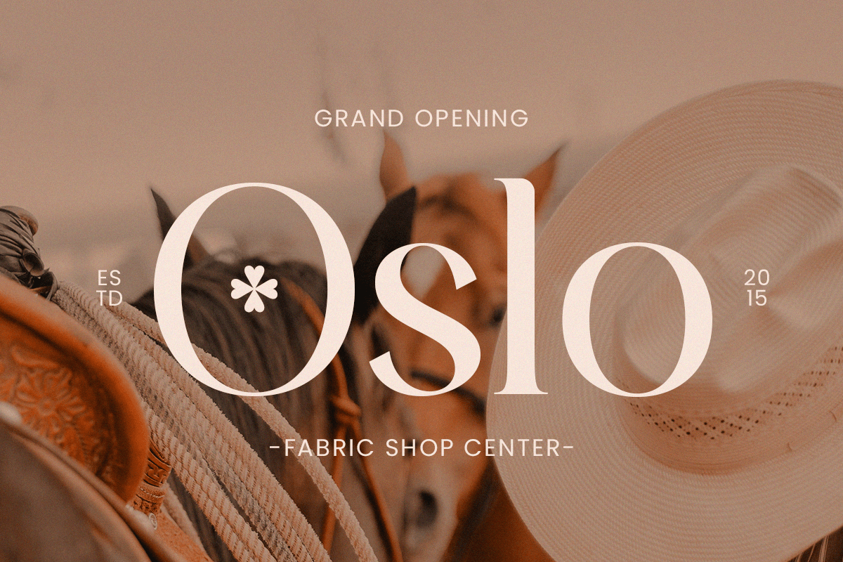 Clover - Modern Serif Logo Font, a Serif Font by Sensatype (Photo 7 of 12)