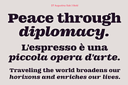 DT Augustina Slab 3 Subfamily, a Slab Serif Font by Deveze Type Foundry (Thumbnail 14 of 31)