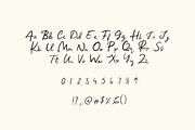 Midnight Garden Handwritten Font, a Font by mpllano14 (Thumbnail 6 of 7)