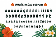 Aloha Vibes - Fun Hawaiian Display, a Handwritten Font by overlaytemplates (Thumbnail 5 of 5)