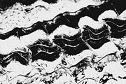 Scales and Fur, a Texture Graphic by Jennifer Lauren Creative (Thumbnail 12 of 26)