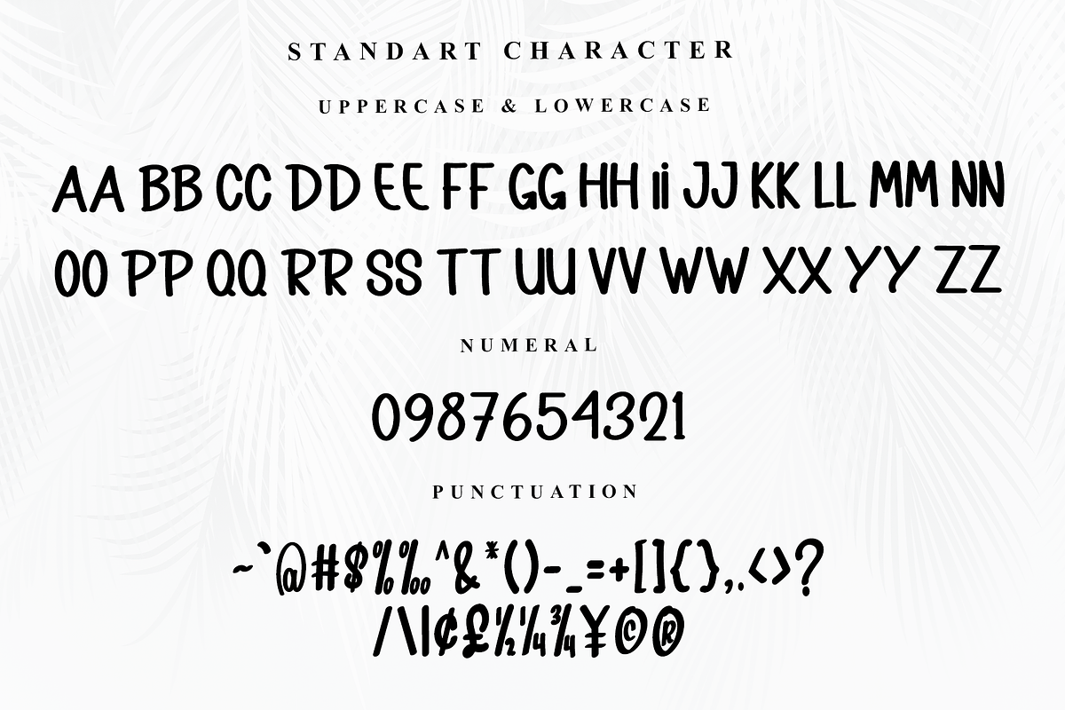 Bright Monday, a Serif Font by InermediaSTUDIO (Photo 5 of 7)