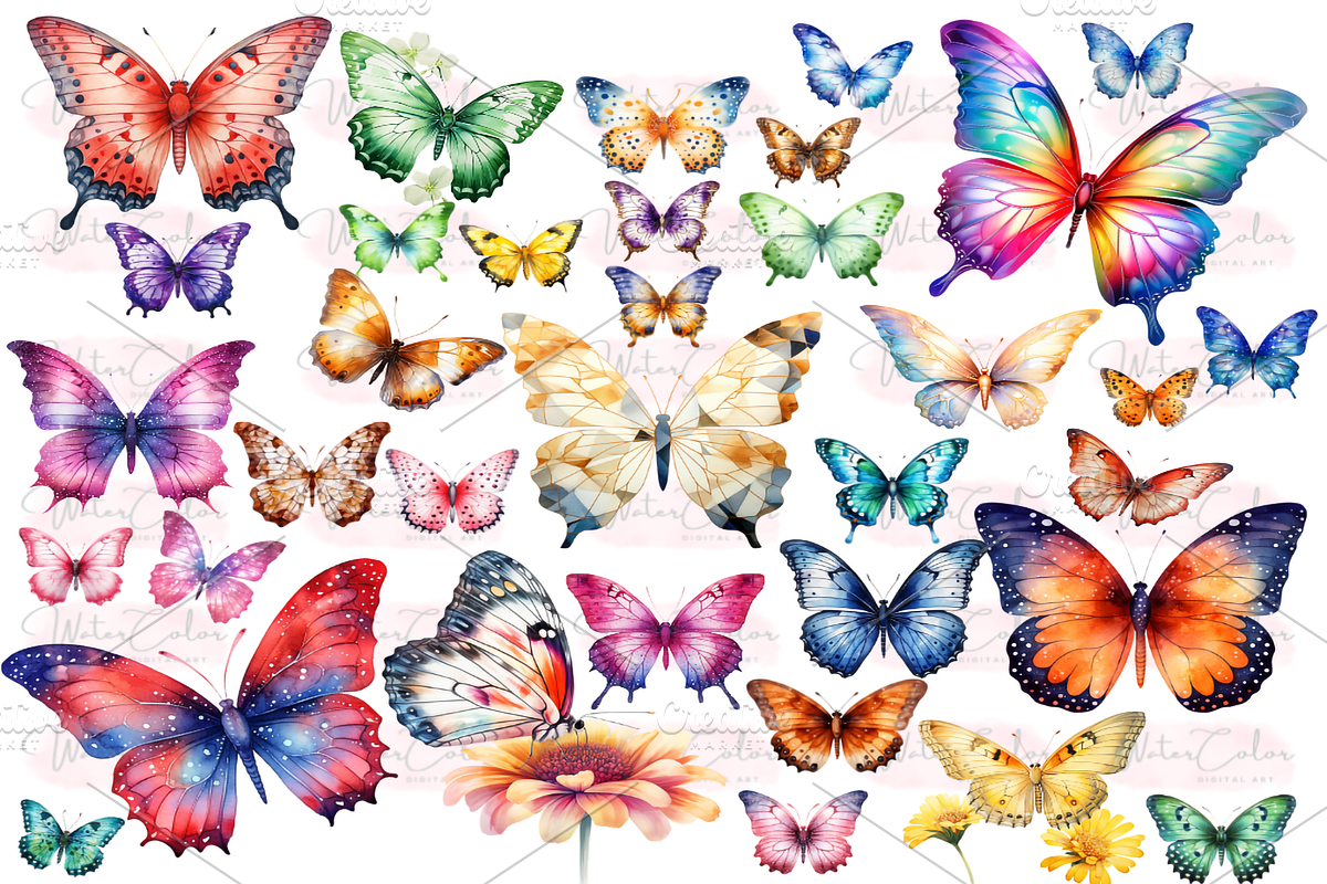 Botanical Butterfly Clipart Decor, a Decorative Illustration by Watercolor Digital (Photo 4 of 9)