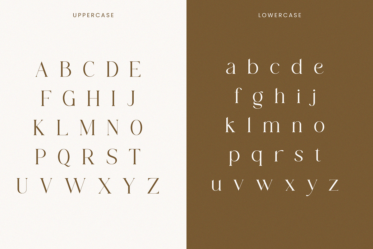 Mogan-Modern Serif Font, a Serif Font by Flawless And Co (Photo 8 of 11)
