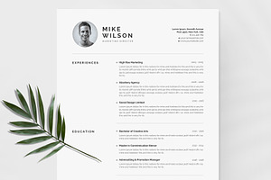 Clean Cv-Resume, a Resume Template by UX-group