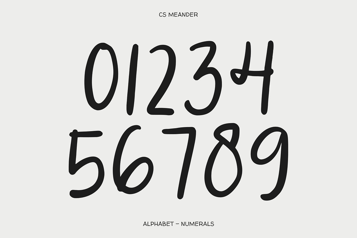 CS Meander – Handwritten Script, a Script Font by Craft Supply Co. (Photo 4 of 8)