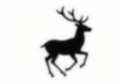 Majestic Deer Antler Collection, an Illustration by Designs_River (Thumbnail 3 of 7)