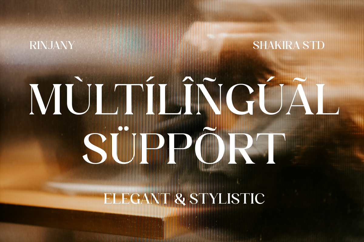 Rintik - Modern Elegant Serif, a Serif Font by Shakira Studio (Photo 10 of 10)