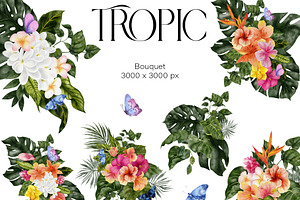 Tropic. Watercolor Graphic