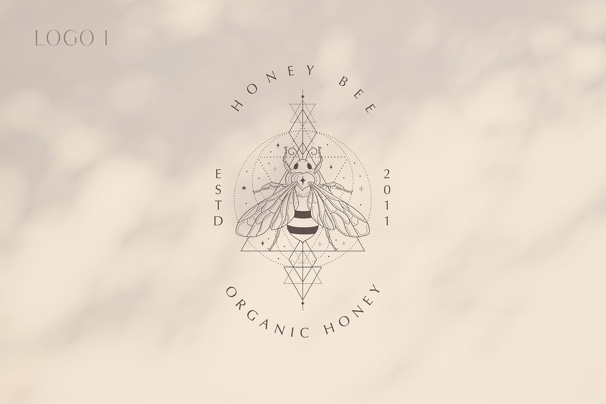 Pre-made Logo Templates + Packaging., a Branding & Logo Template by Olya Creative (Photo 5 of 14)