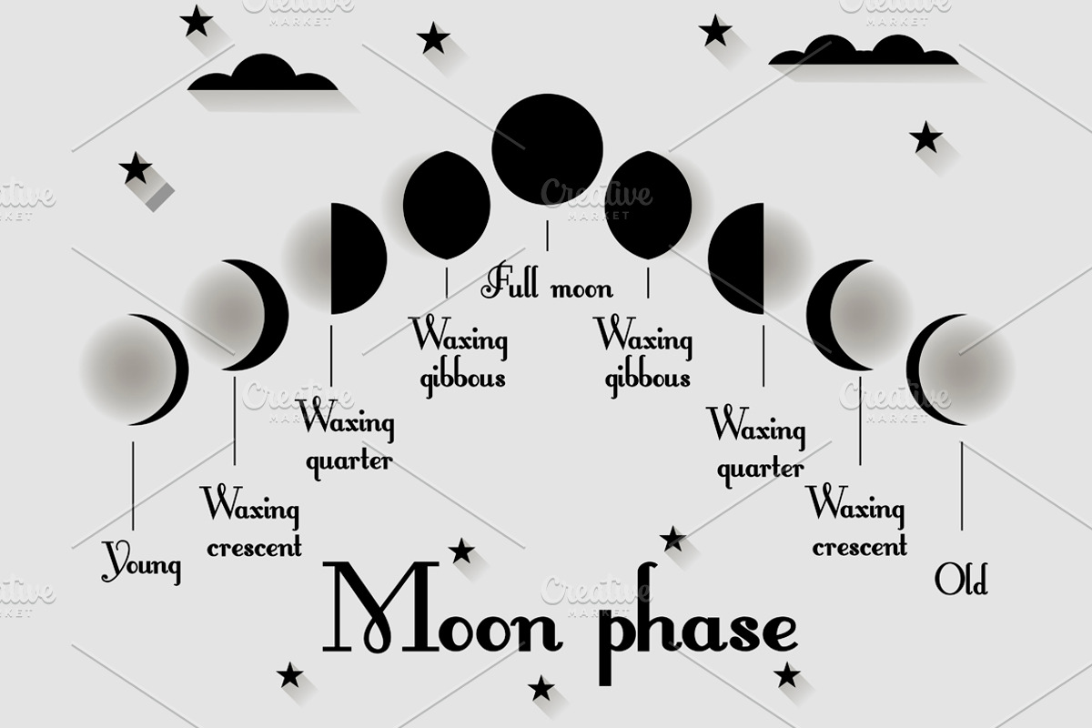 Moon phases. Set illustrations, an Illustration by Andy Vinnikov (Photo 7 of 8)