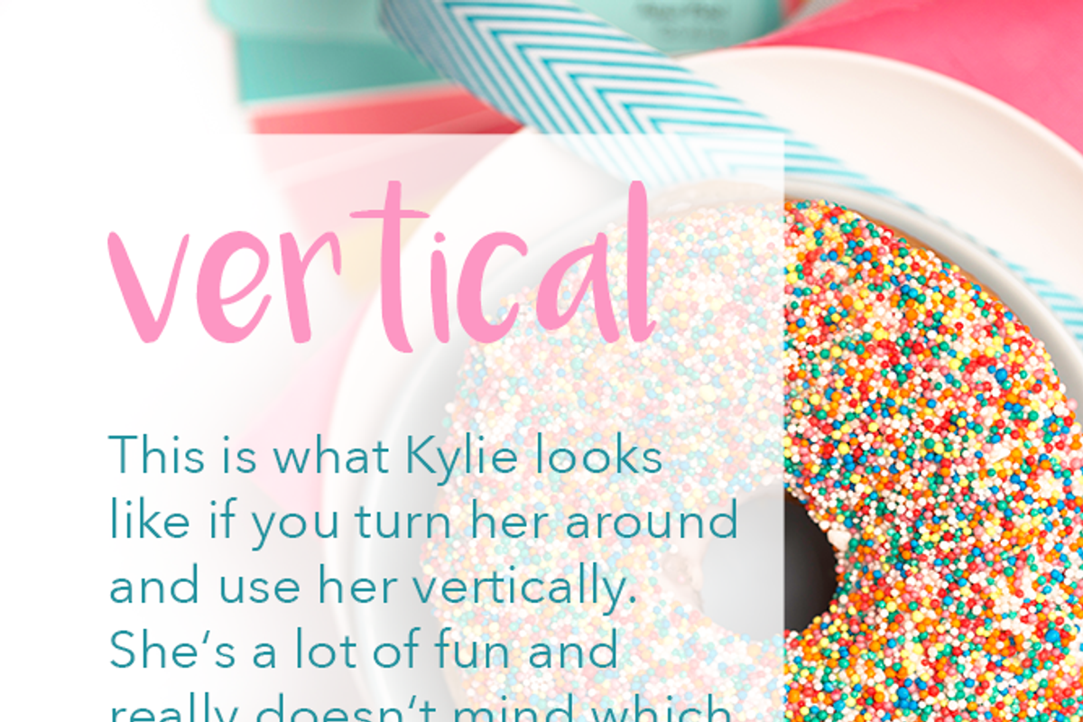 Styled Stock Photo - Kylie 7, a Mockup by the studio louvain shop (Photo 4 of 5)