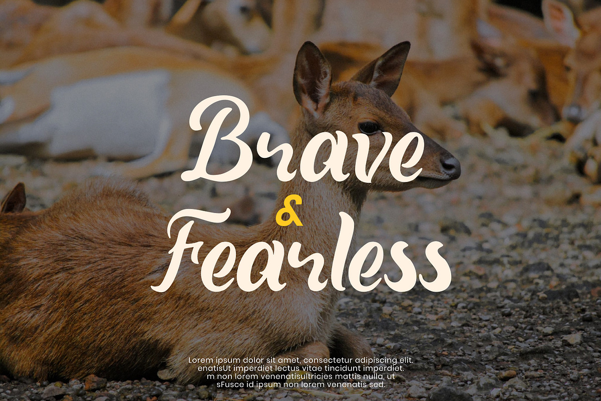 Quinka - Casual Script Font, a Script Font by Pixesia Studio (Photo 9 of 11)