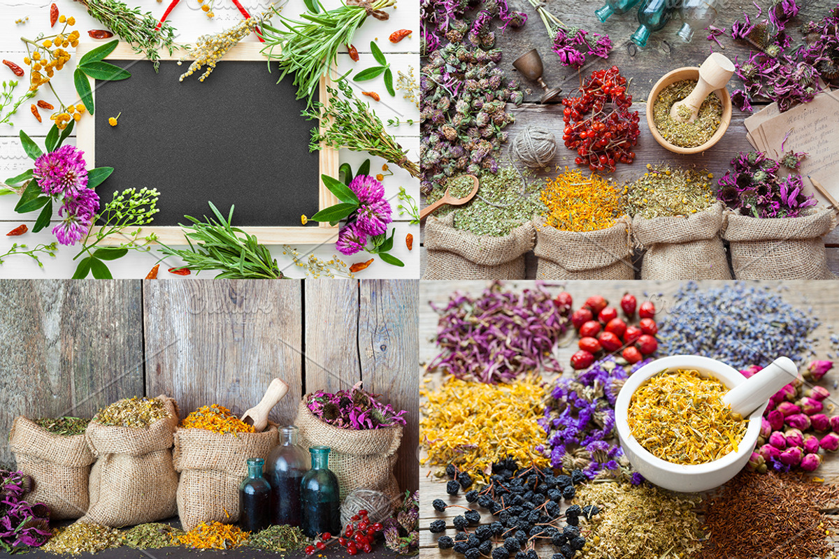 Herbal Medicine Bundle, a Health & Medical Photo by chamillewhite (Photo 4 of 6)