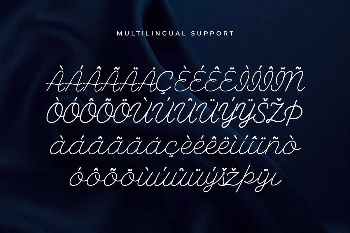 Delarose – A Monoline Script Font, a Script Font by overlaytemplates (Photo 5 of 5)