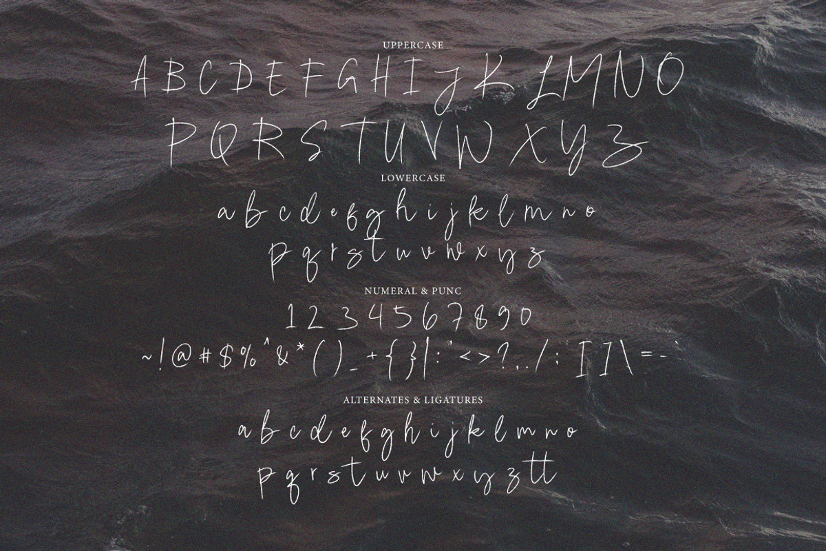 Garland - Signature Brush, a Handwritten Font by tebaltipislab (Photo 9 of 9)