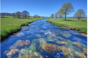 The Drentsche Aa river, which is, a Nature Photo by ZinetroN