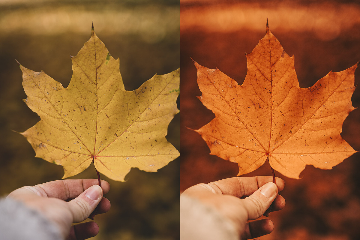 10 Autumn - Fall Lightroom Presets, a Preset Add-On by VividFrame (Photo 6 of 9)