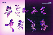 Tropical night - neon exotic flowers, an Illustration by Where summer is (Thumbnail 4 of 6)