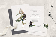 Vintge Flowers Vol.04 - Extra Large, an Illustration by Greta Ivy (Thumbnail 2 of 18)