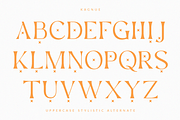 Kagnue Serif | Modern Classy Font, a Serif Font by Youthlabs Studio (Thumbnail 14 of 20)