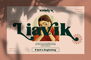 Breiten Bold Serif Font, a Font by Compaq_Creative (Thumbnail 4 of 9)