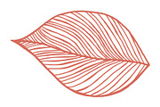 Vector Plant & Leaf Graphics, a Background Graphic by Dorey Kronick Art&Design (Thumbnail 9 of 19)