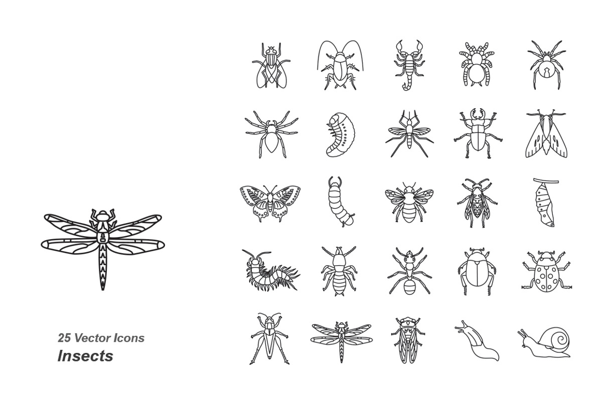 Insects outlines vector icons, an Icon by Jisun Park