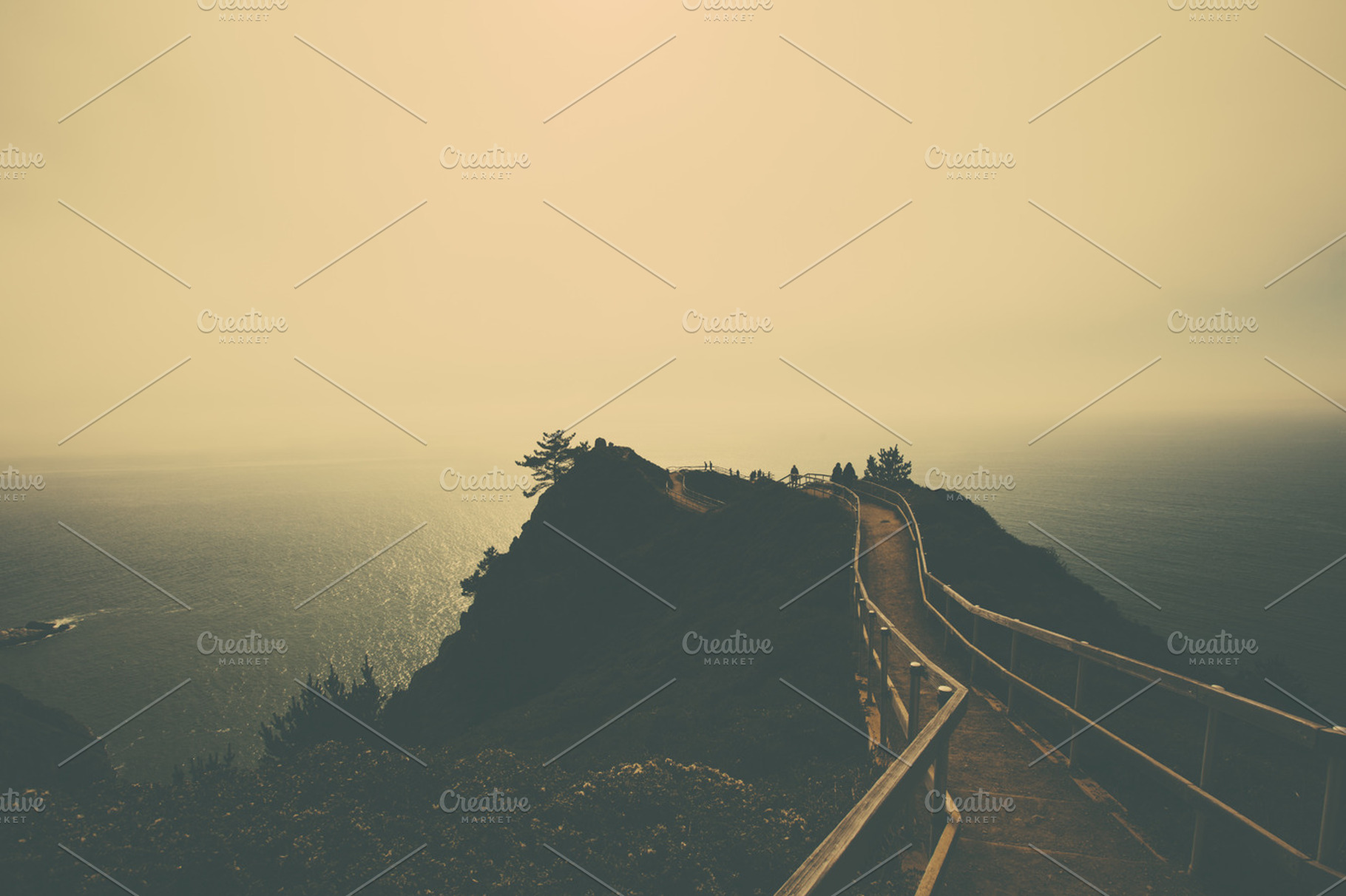 Muir woods look out stock photo containing muir woods and beach