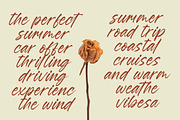 Esylon Sparted Bold Brush Type Font, a Script Font by Letterena Studios Script (Thumbnail 2 of 20)