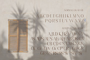 Levaus - Ligature Typeface, a Serif Font by Graphicxell (Thumbnail 14 of 17)